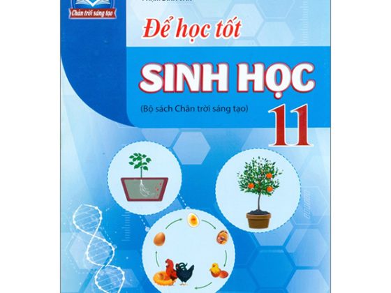 Để Học Tốt Sinh Học 11 (Chân Trời Sáng Tạo) PDF