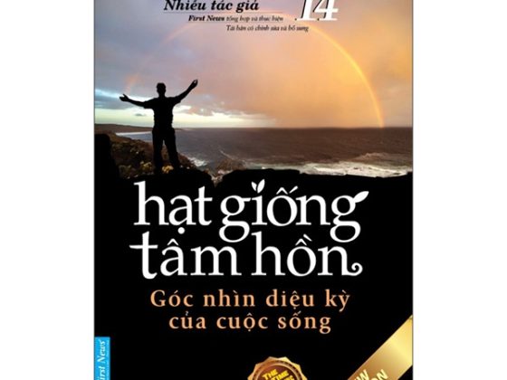 Hạt Giống Tâm Hồn - Tập 14: Góc Nhìn Diệu Kỳ Của Cuộc Sống PDF