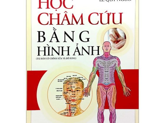 Học Châm Cứu Bằng Hình Ảnh (Tái Bản Có Chỉnh Sửa Bổ Sung) PDF