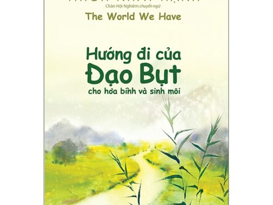 Hướng Đi Của Đạo Bụt Cho Hòa Bình Và Sinh Môi PDF