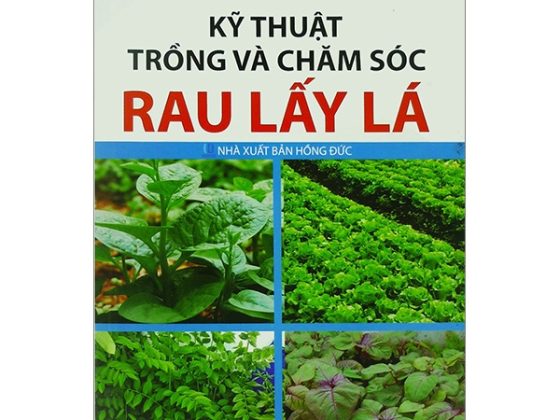 Kỹ Thuật Trồng Và Chăm Sóc Rau Lấy Lá PDF