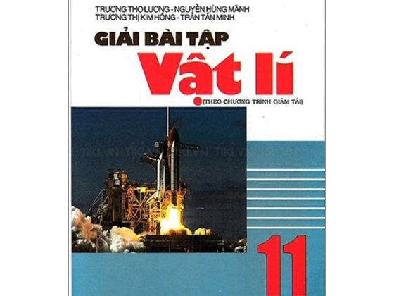 Giải Bài Tập Vật Lí 11 PDF