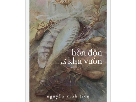 Hỗn Độn Và Khu Vườn PDF