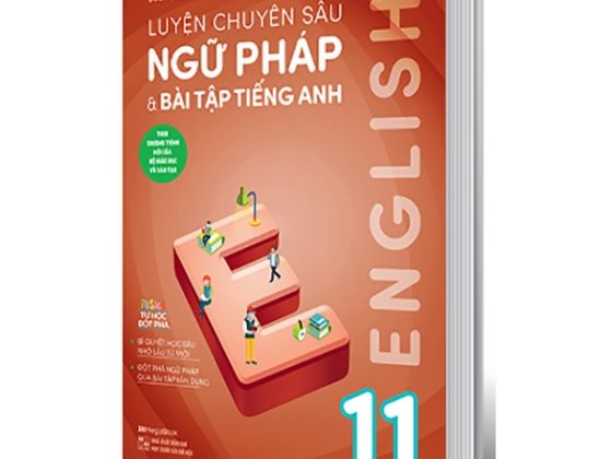 Luyện Chuyên Sâu Ngữ Pháp Và Bài Tập Tiếng Anh 11 PDF