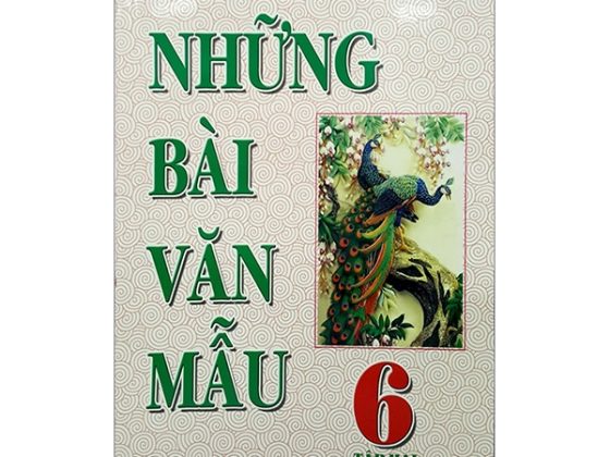 Những Bài Văn Mẫu 6 - Tập 2 PDF
