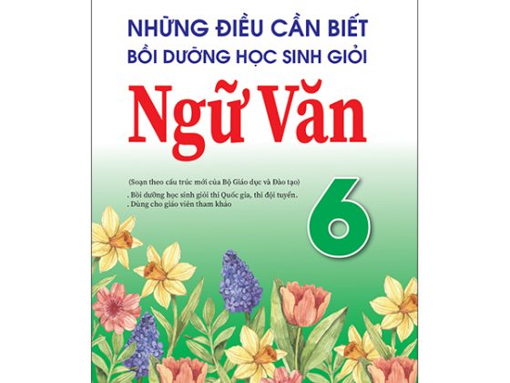 Những Điều Cần Biết Bồi Dưỡng Học Sinh Giỏi Ngữ Văn 6 PDF