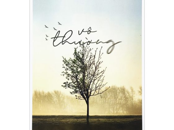 Vô Thường PDF