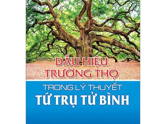 Dấu Hiệu Trường Thọ Trong Lý Thuyết Tứ Trụ Tử Bình PDF