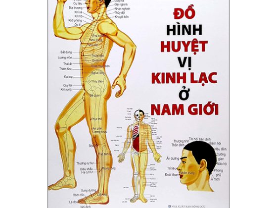 Đồ Hình Huyệt Vị Kinh Lạc Ở Nam Giới PDF