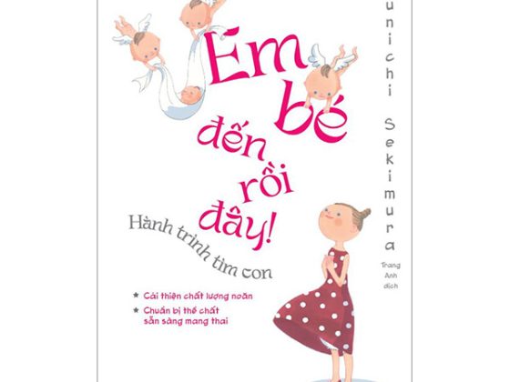 Em Bé Đến Rồi Đây - Hành Trình Tìm Con PDF