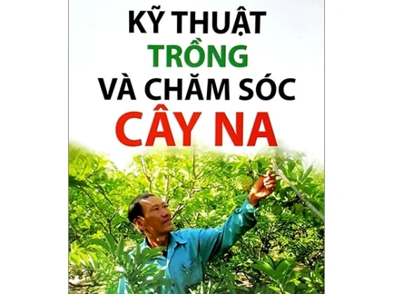Kỹ Thuật Trồng Và Chăm Sóc Cây Na PDF