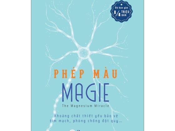 Phép Màu Magie - The Magnesium Miracle PDF