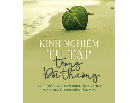 Kinh Nghiệm Tu Tập Trong Đời Thường PDF