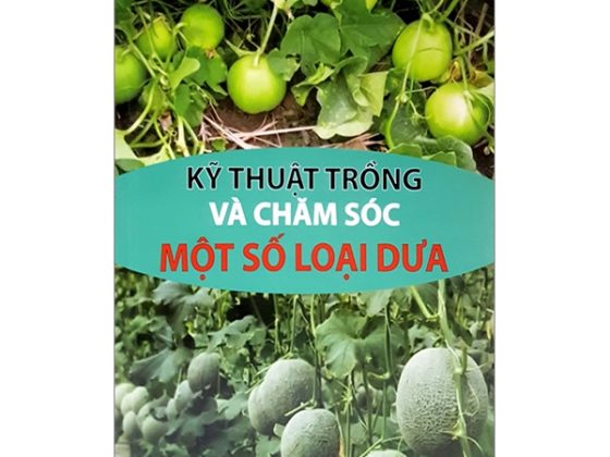 Kỹ Thuật Trồng Và Chăm Sóc Một Số Loại Dưa PDF