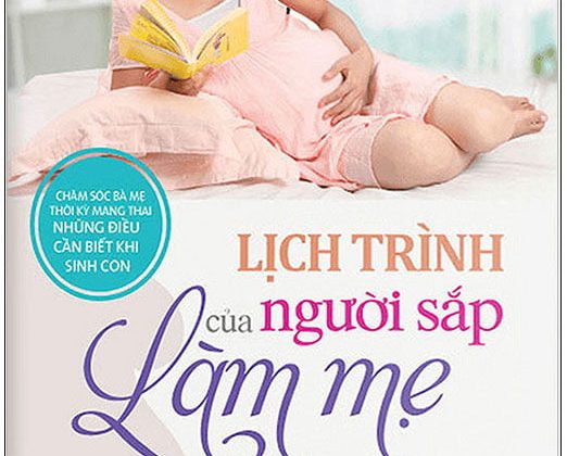 Lịch Trình Của Người Sắp Làm Mẹ PDF