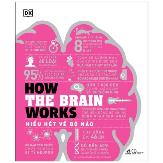 How The Brain Works - Hiểu Hết Về Bộ Não PDF