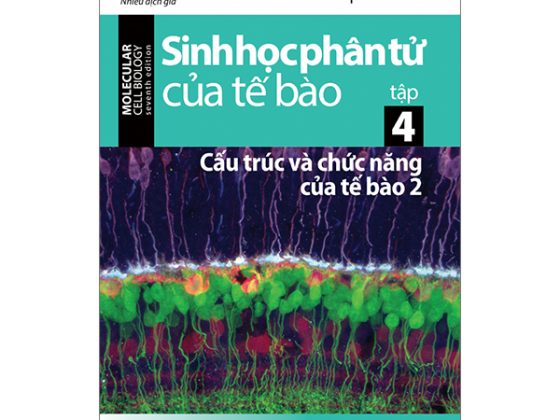 Sinh Học Phân Tử Của Tế Bào - Tập 4 - Cấu Trúc Và Chức Năng Của Tế Bào 2 (Tái Bản 2024) PDF