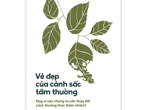 Vẻ Đẹp Của Cảnh Sắc Tầm Thường - Hay Vì Sao Chúng Ta Cần Thay Đổi Cách Thưởng Thức Thiên Nhiên? PDF