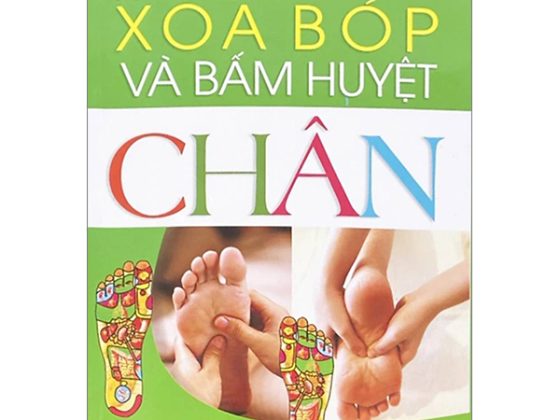 Kỹ Thuật Xoa Bóp Và Bấm Huyệt Chân (Tái Bản 2025) PDF