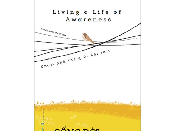 Living A Life Of Awareness - Sống Đời Tỉnh Thức PDF