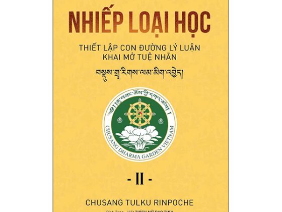 Nhiếp Loại Học - Thiết Lập Con Đường Lý Luận Khai Mở Tuệ Nhãn - Tập 2 PDF