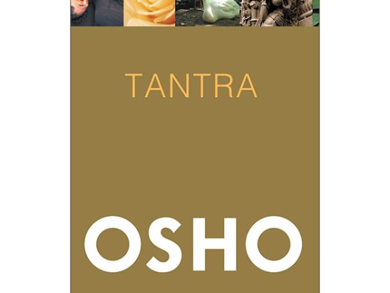 Tantra - Con Đường Của Sự Chấp Nhận (Tái Bản 2025) PDF