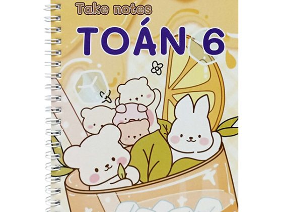 Take Notes Toán 6 (Cánh Diều) PDF