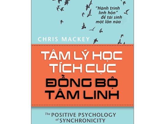 Tâm Lý Học Tích Cực Đồng Bộ Tâm Linh - the Positive Psychology Of Synchronicity PDF